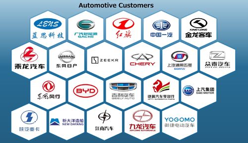 Cases in the automotive field